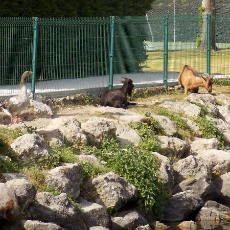 Les Mathes La Palmyre - Villa Mitoyenne Avec Piscine Collective Les Mathes